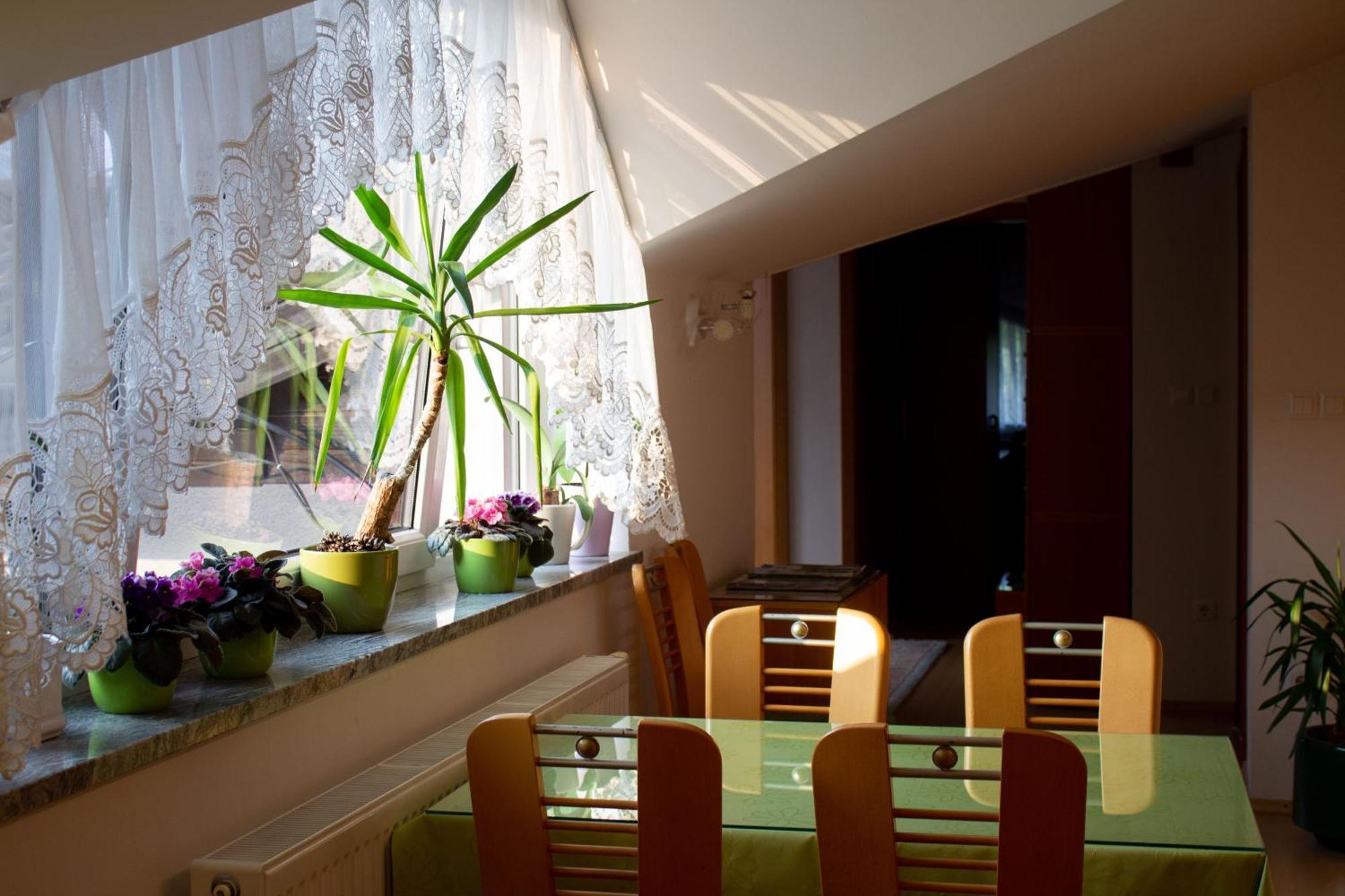 Garden Apartments Jansa Radovljica Rum bild